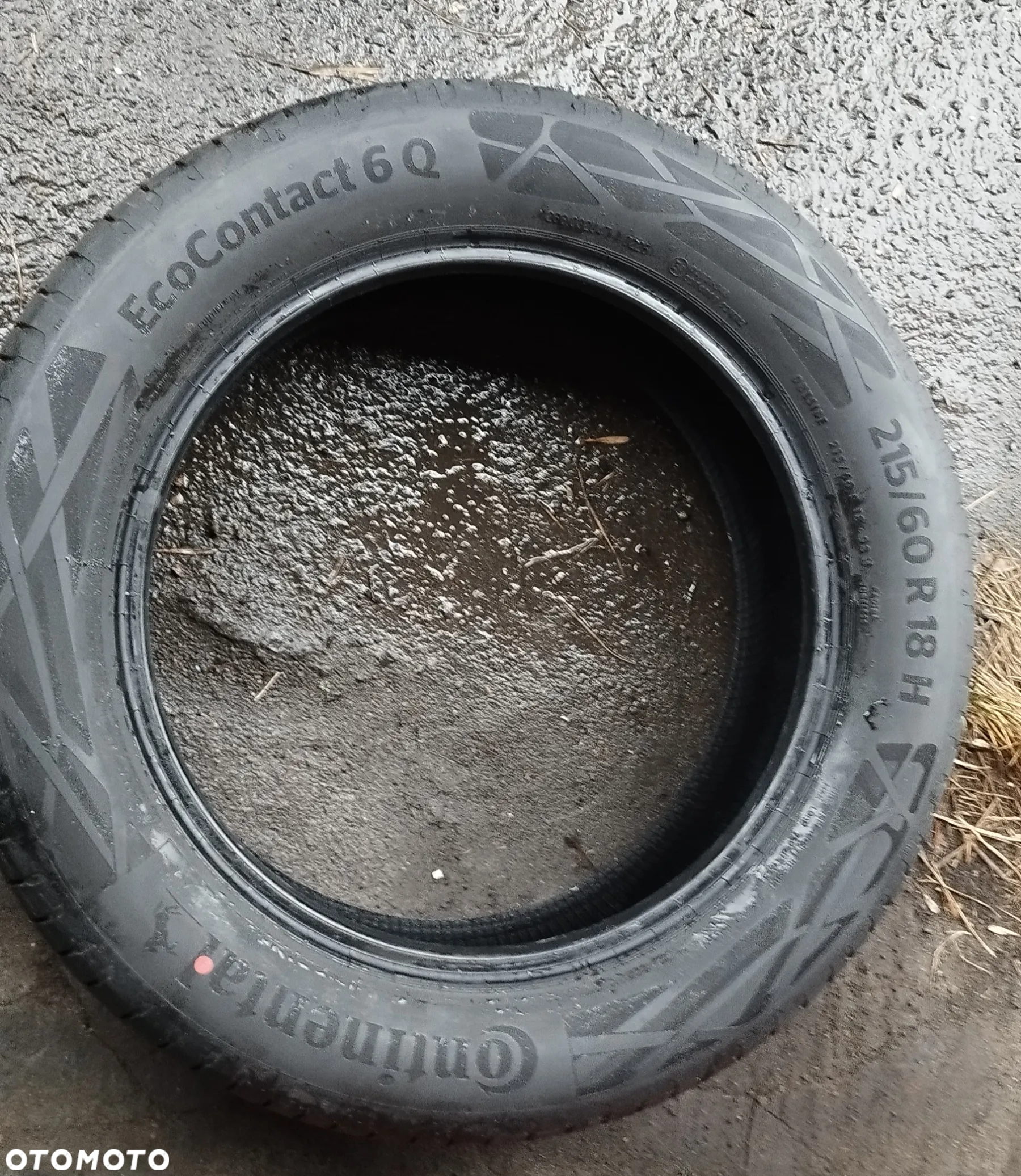 Continental EcoContact 6 Q prod 02.2025 - 8