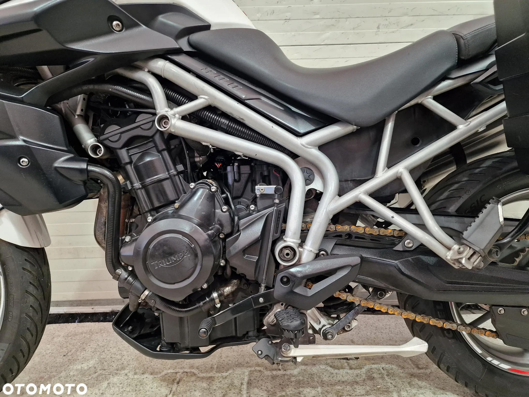 Triumph Tiger - 10