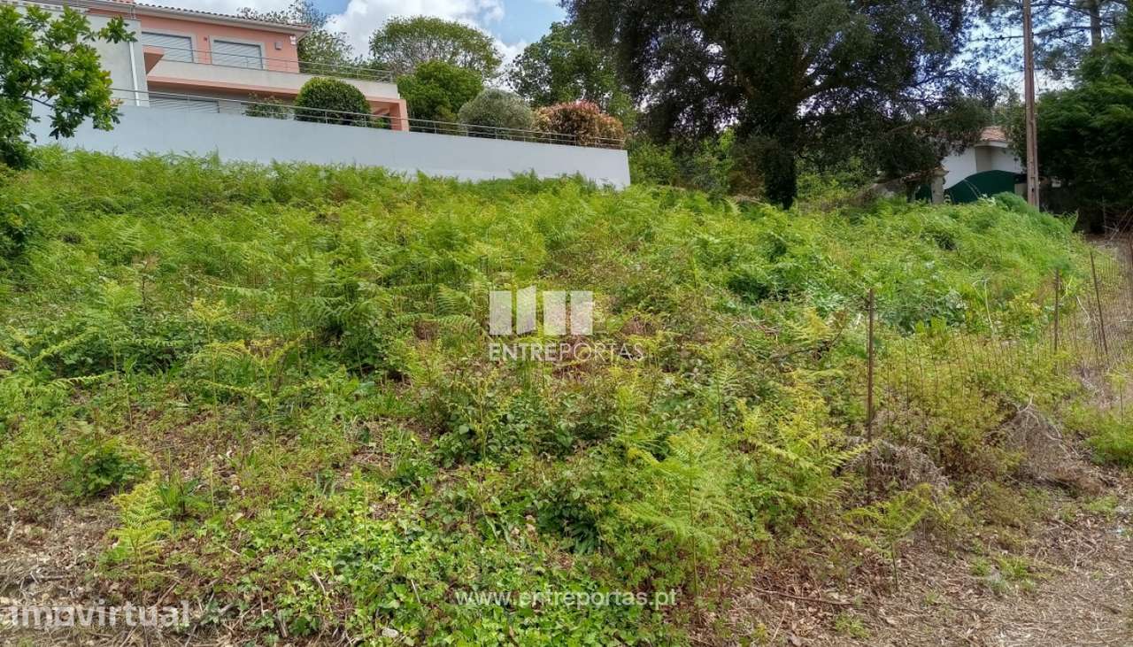 Terreno para venda, Seixas, Caminha - Grande imagem: 3/25