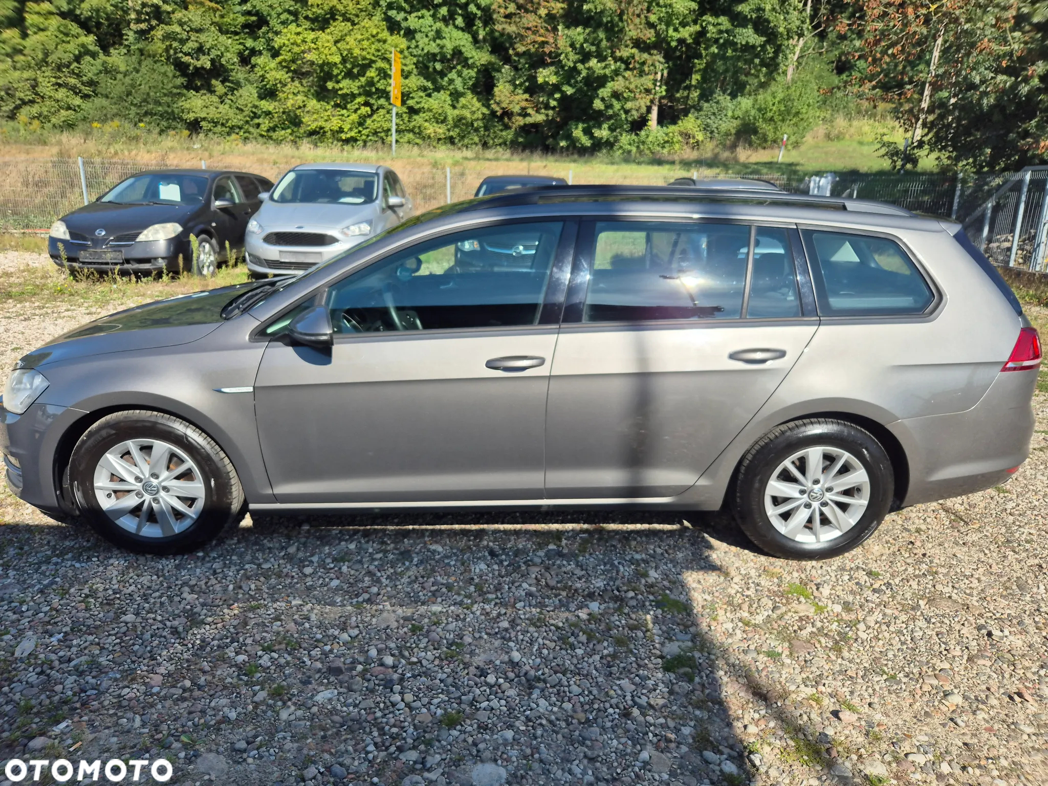 Volkswagen Golf - 7