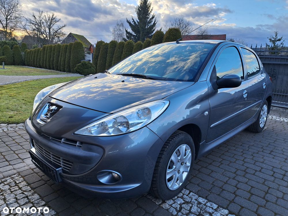 Peugeot 206 plus 60 - 15