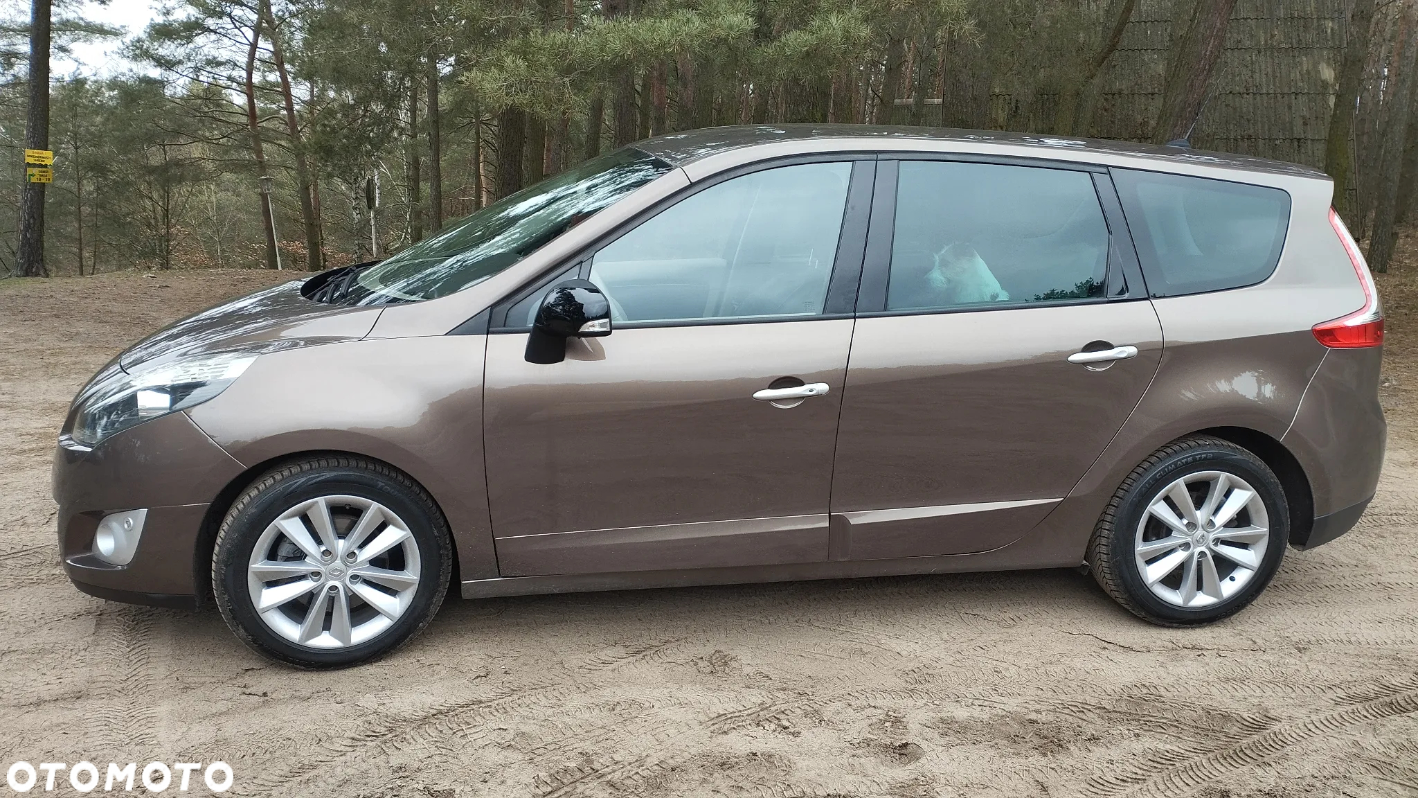 Renault Scenic - 4