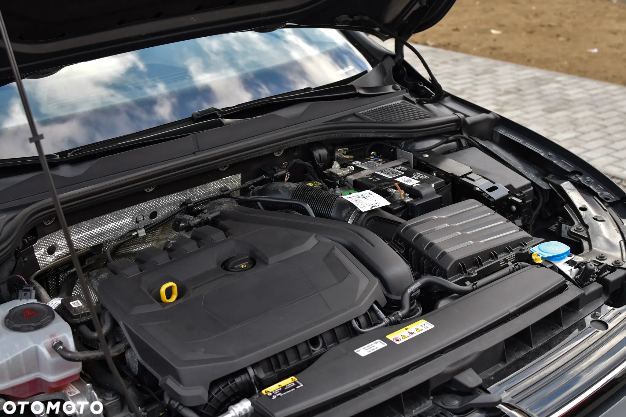 Volkswagen Golf VIII 1.5 TSI EVO Style - 24