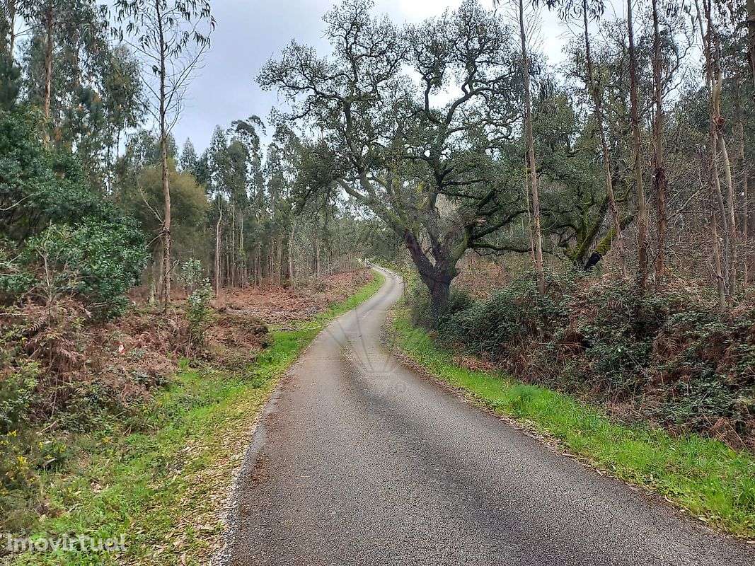 Terreno  para venda - Grande imagem: 2/3