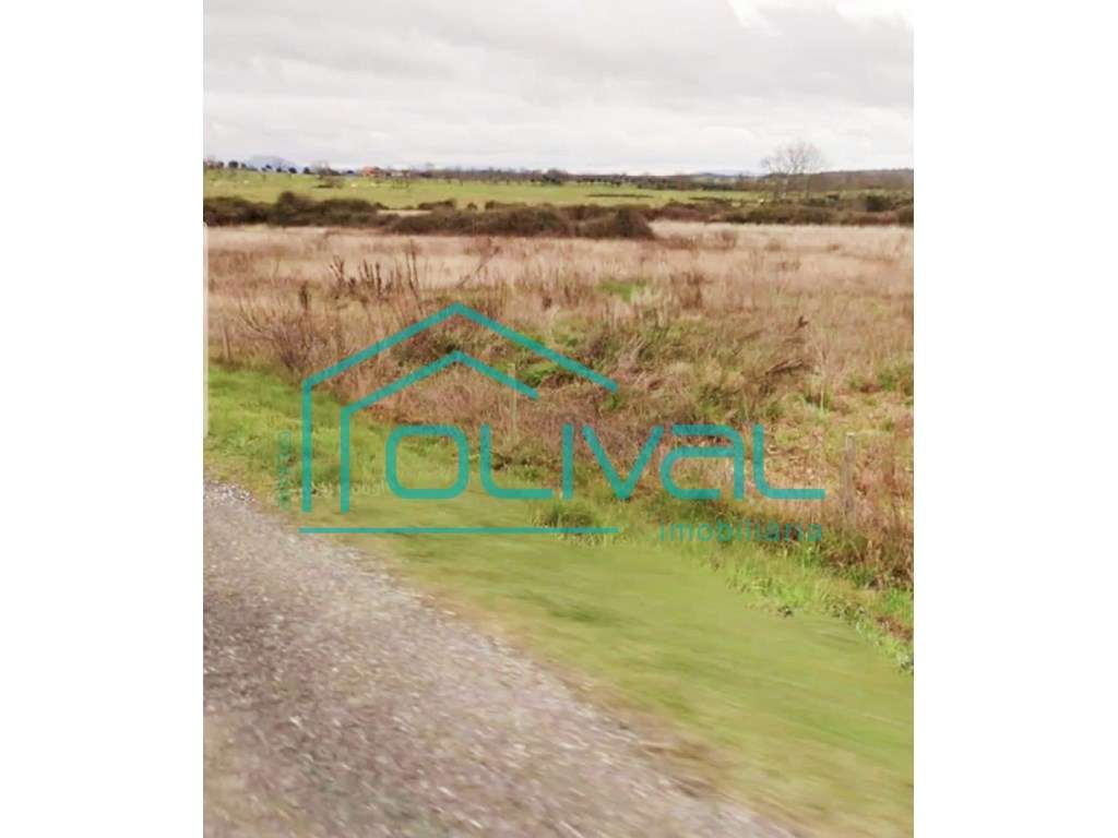 Terreno à venda em Oledo - Grande imagem: 3/10