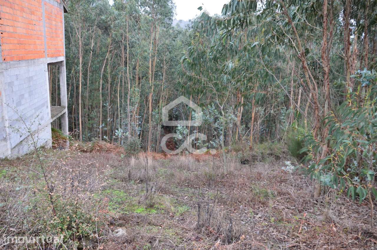 Terreno com zona de construção, Lagares e Figueira, Penafiel - Grande imagem: 2/5