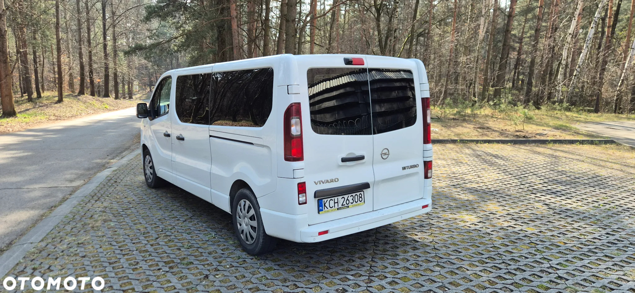 Renault Trafic - 3