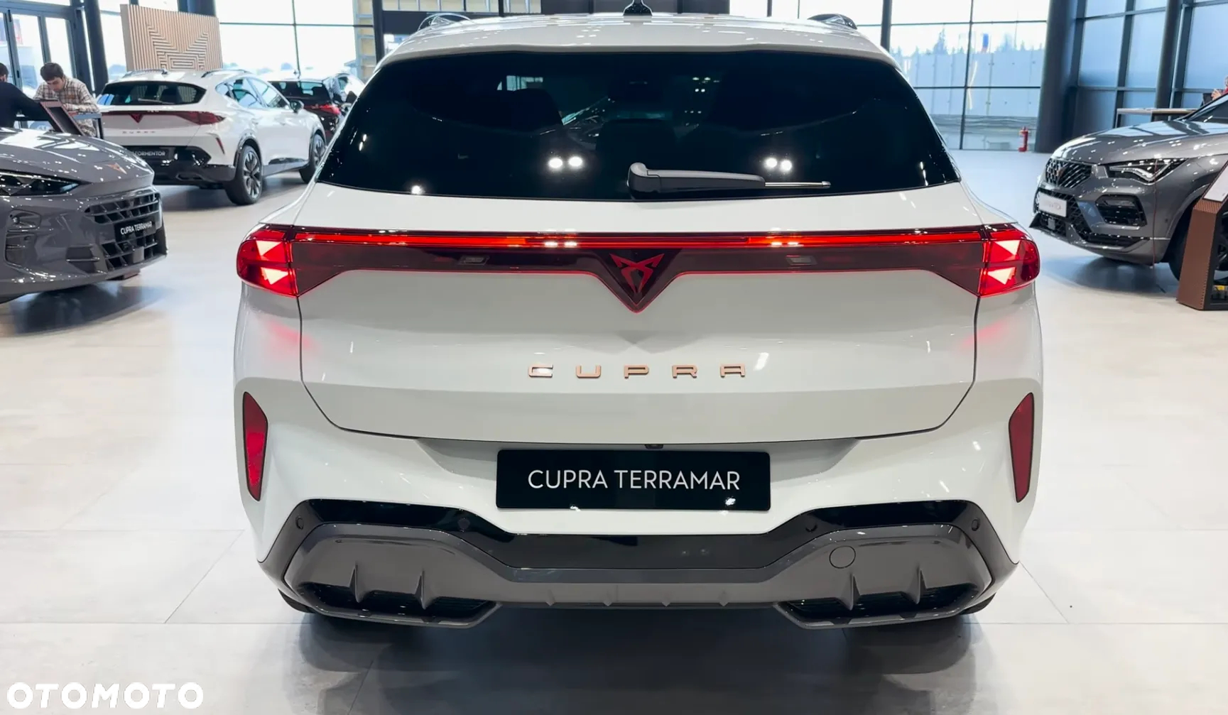 Cupra Terramar 2.0 TSI 4Drive DSG - 4