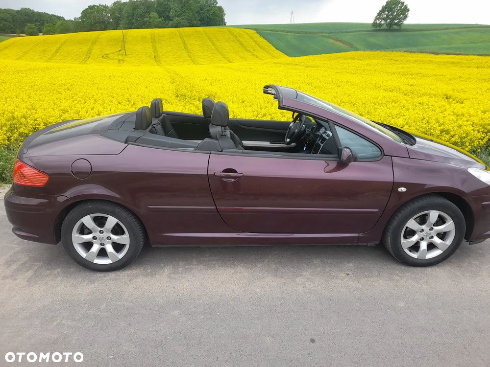 Peugeot 307 CC - 25