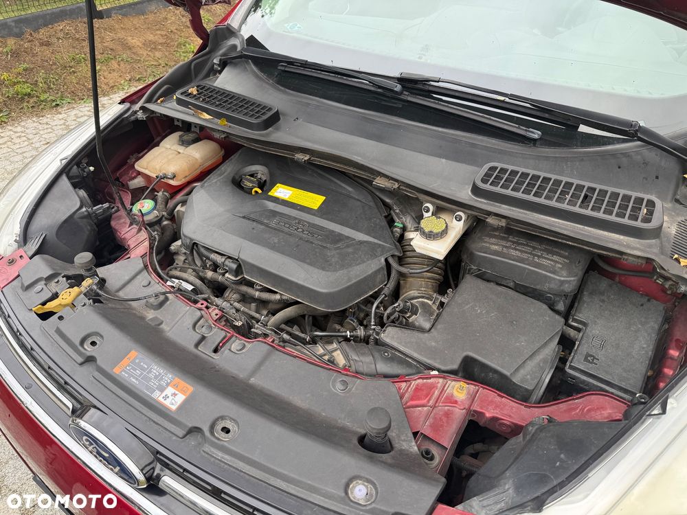 Ford Escape 1.5 EcoBoost AWD SE - 11