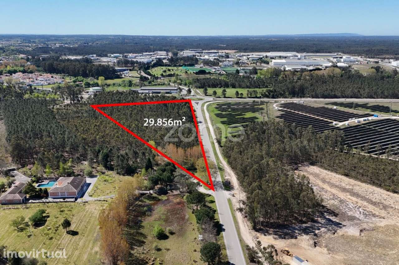 Oportunidade em Cantanhede: 3 Hectares de Potencial Ilimitado! - Grande imagem: 4/15