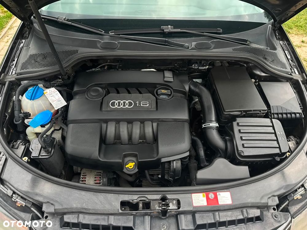 Audi A3 3-drzwiowe 1.6 Attraction - 14