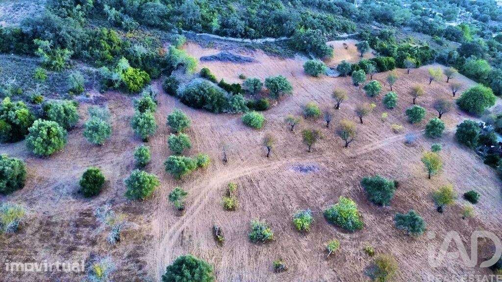 Terreno Agrícola em Santa Bárbara de Nexe de 14400,00 m2 - Grande imagem: 5/10