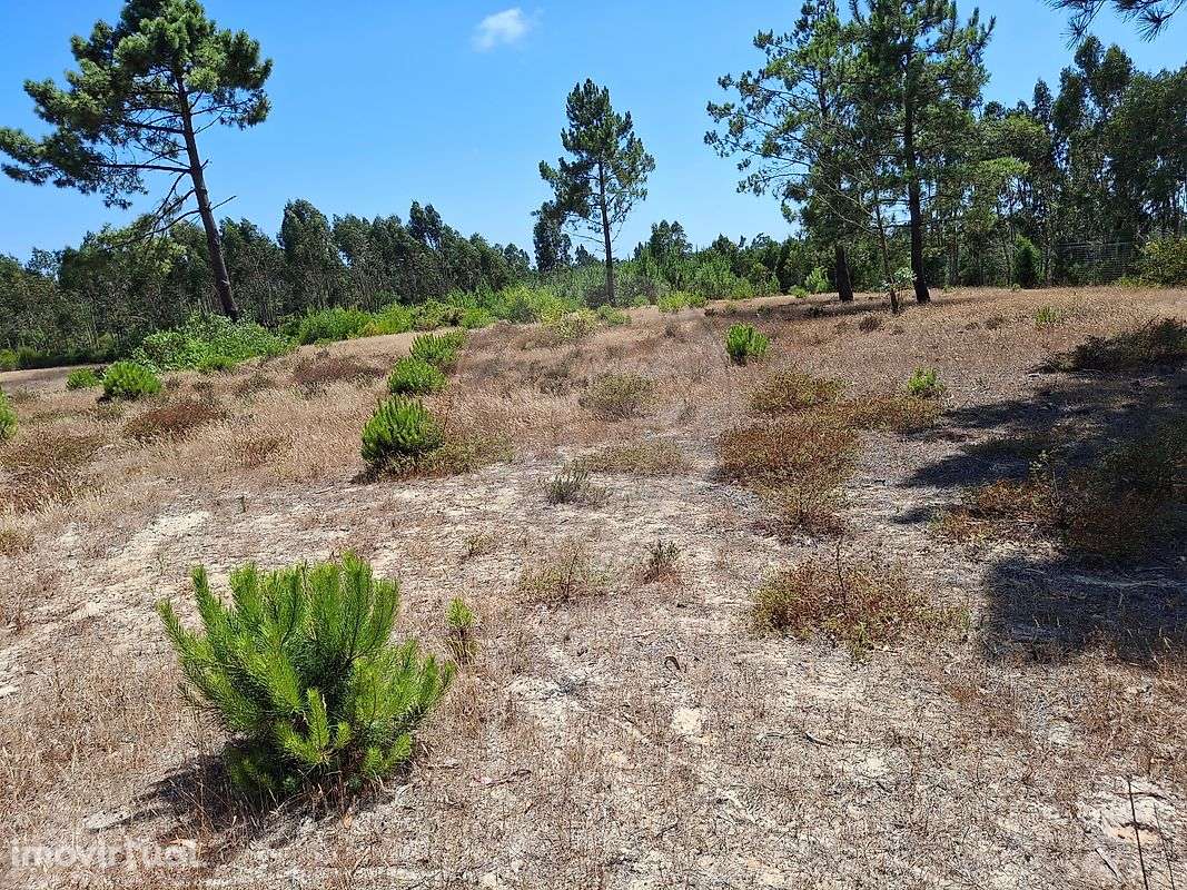 Terreno  para venda - Grande imagem: 5/8