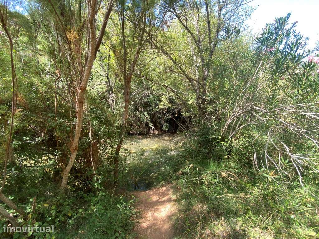 Lote de terreno rústico na Fonte da Benémola, Loulé, Algarve - Grande imagem: 5/17