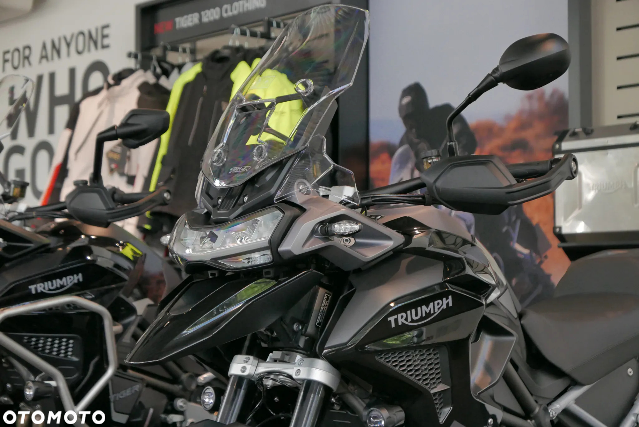 Triumph Tiger - 9
