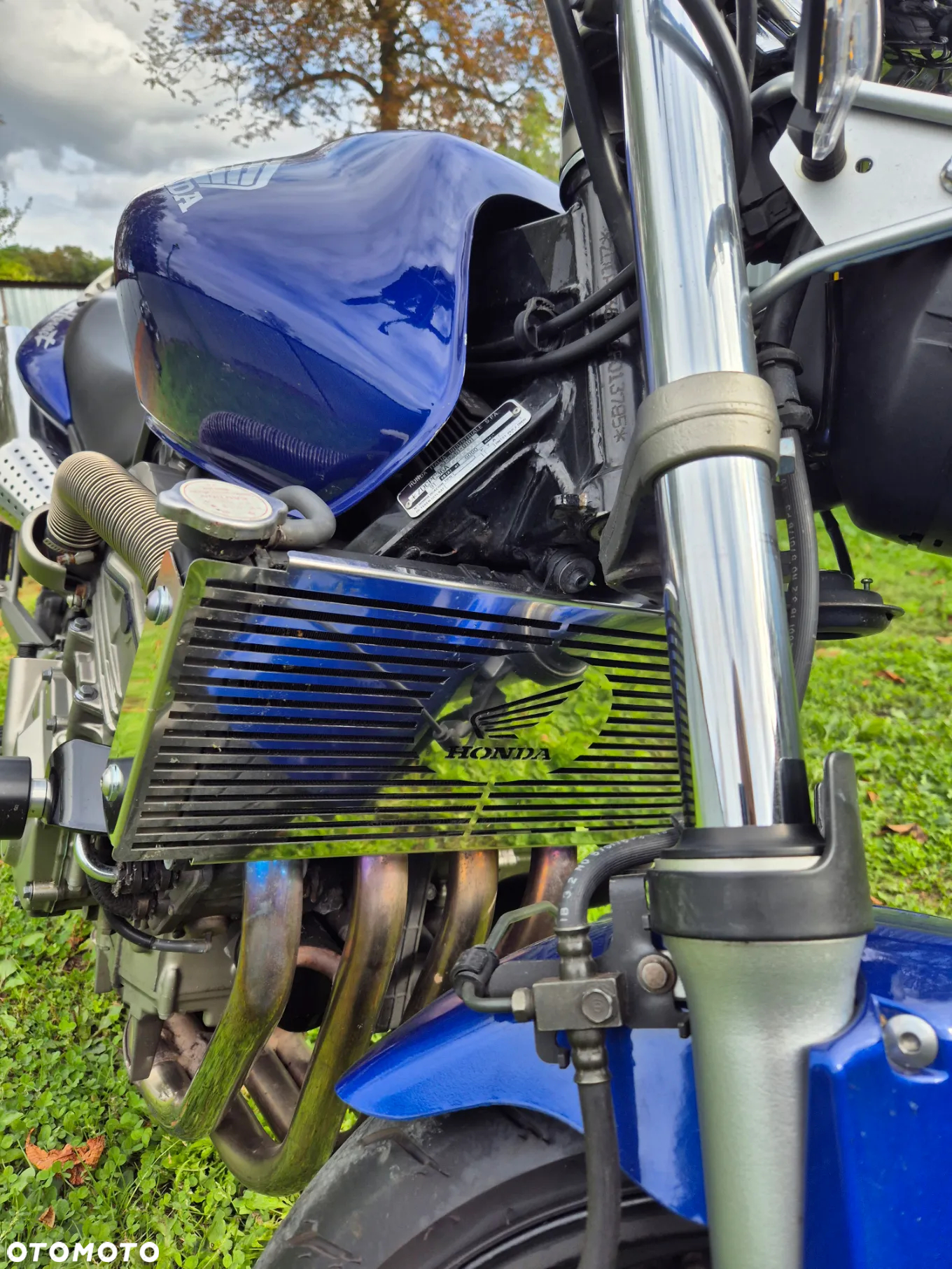 Honda Hornet - 6