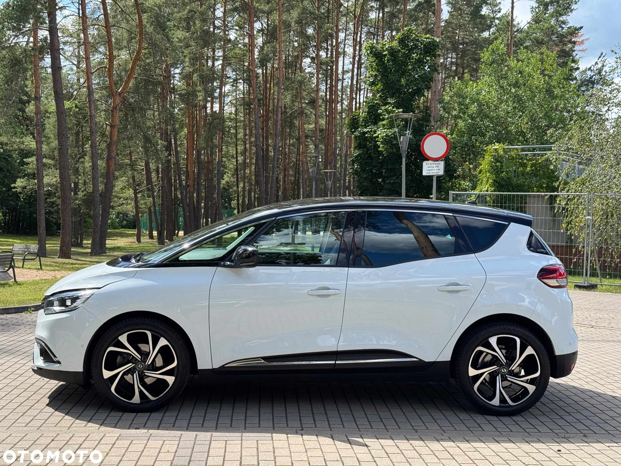 Renault Scenic - 3