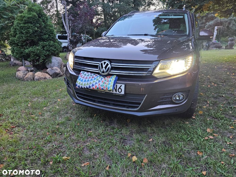 Volkswagen Tiguan - 15