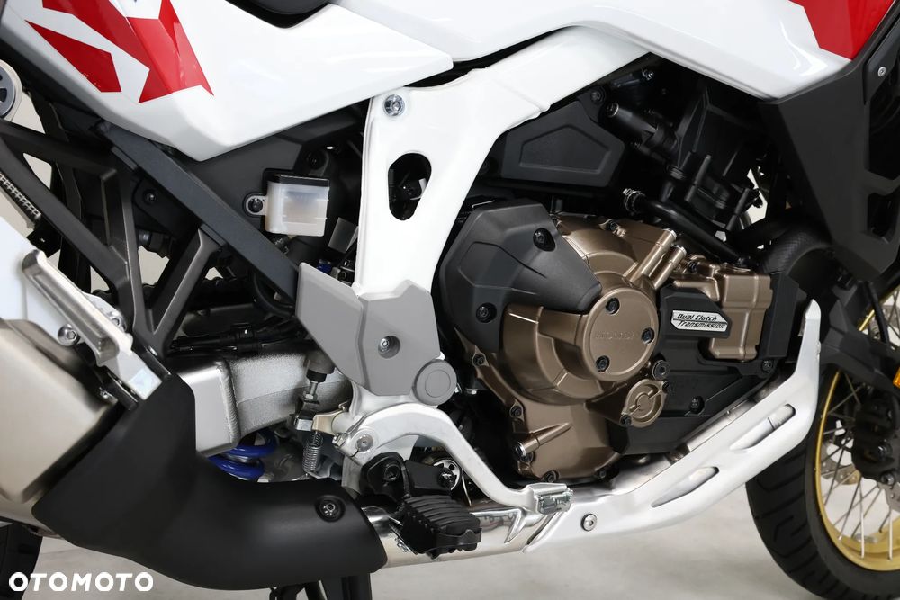 Honda CRF - 25