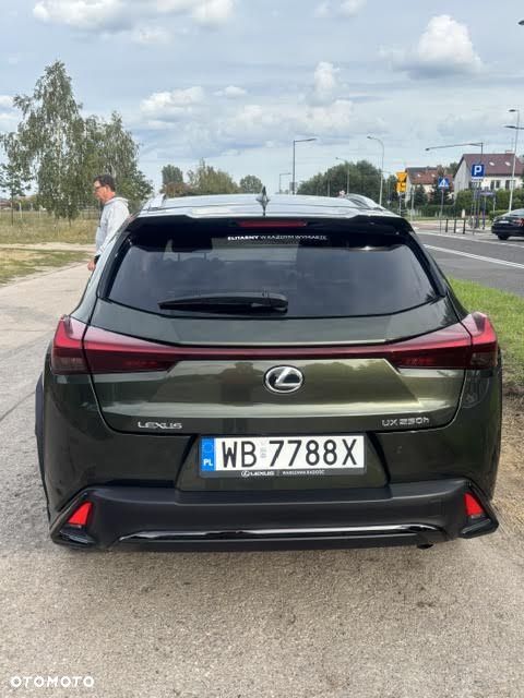 Lexus UX 250h F Sport 2WD - 9