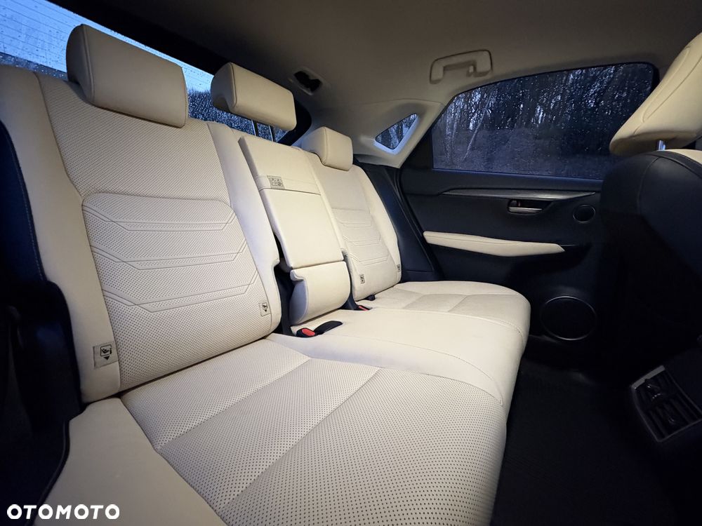 Lexus NX 300h Comfort AWD - 17
