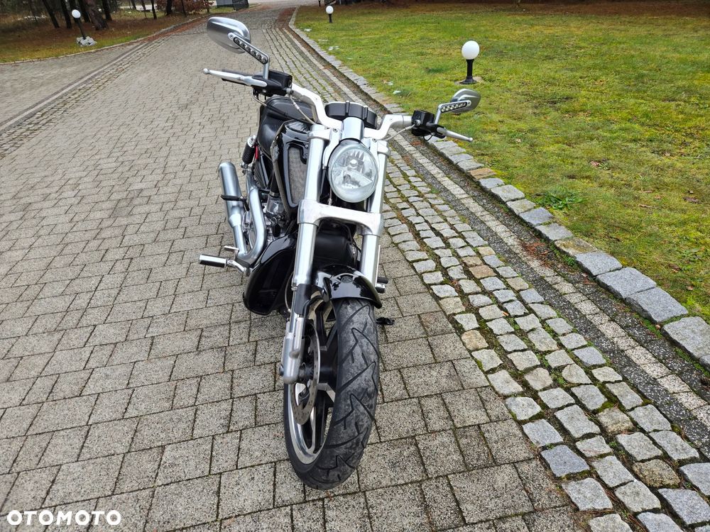Harley-Davidson V-Rod Muscle - 7