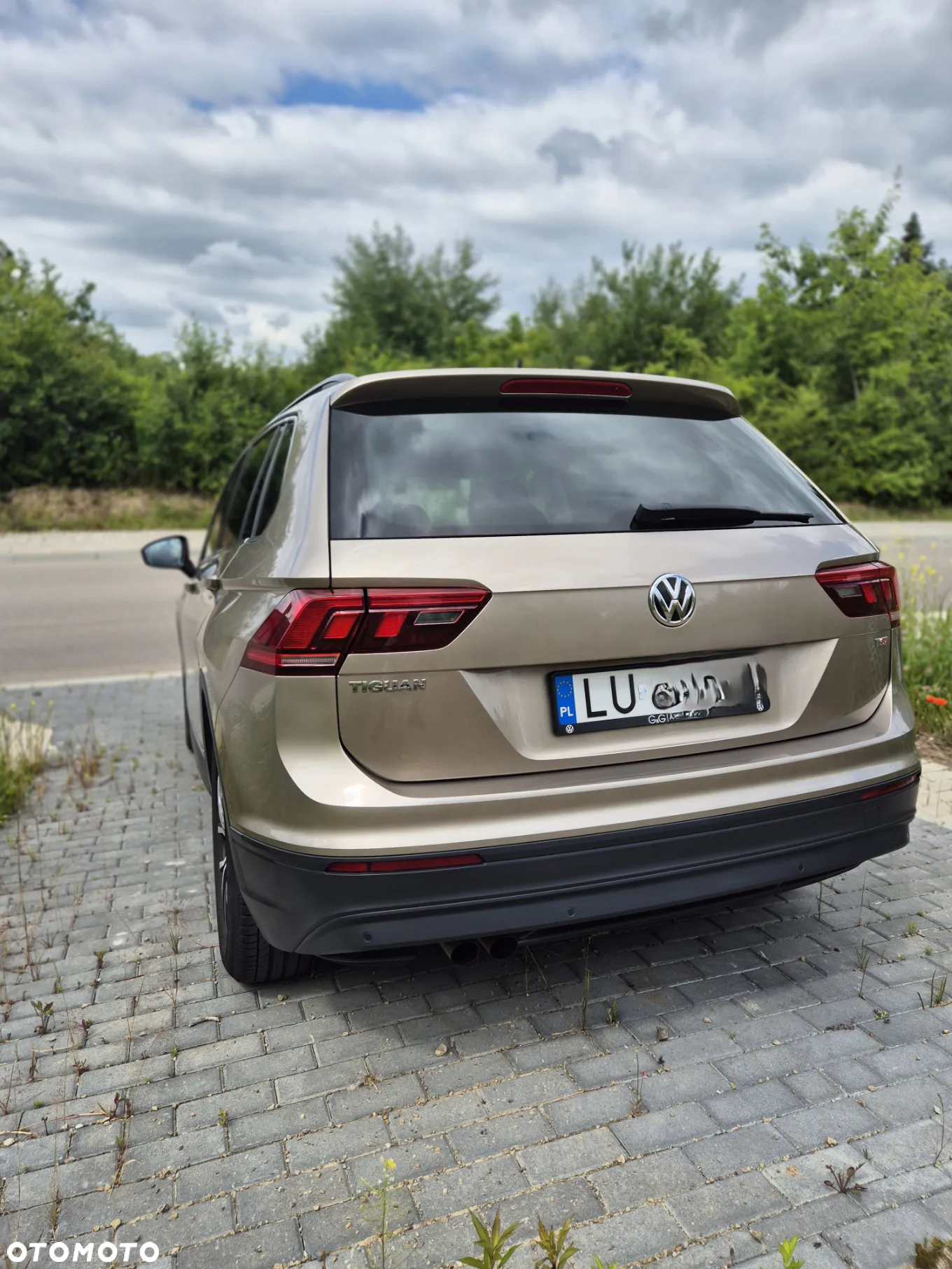 Volkswagen Tiguan 1.4 TSI BMT ACT Comfortline - 6
