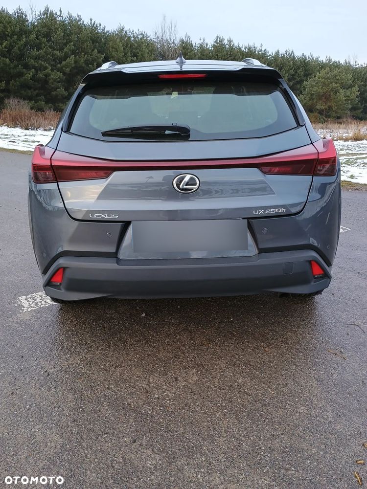 Lexus UX 250h GPF Business Edition 2WD - 10