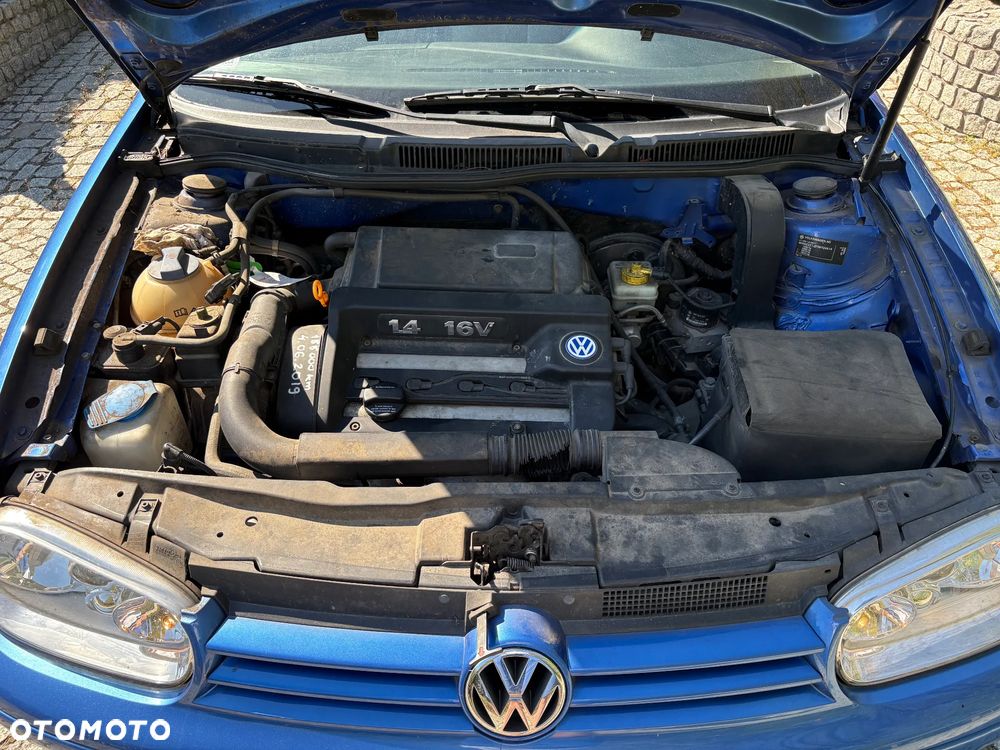 Volkswagen Golf - 32