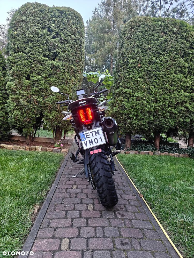 Triumph Tiger - 10