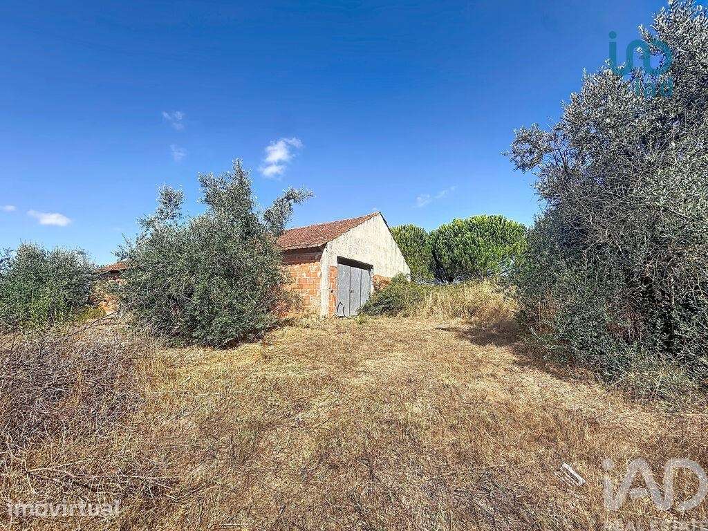 Casa / Villa T2 em São Sebastião de 322 m2 - Grande imagem: 3/22