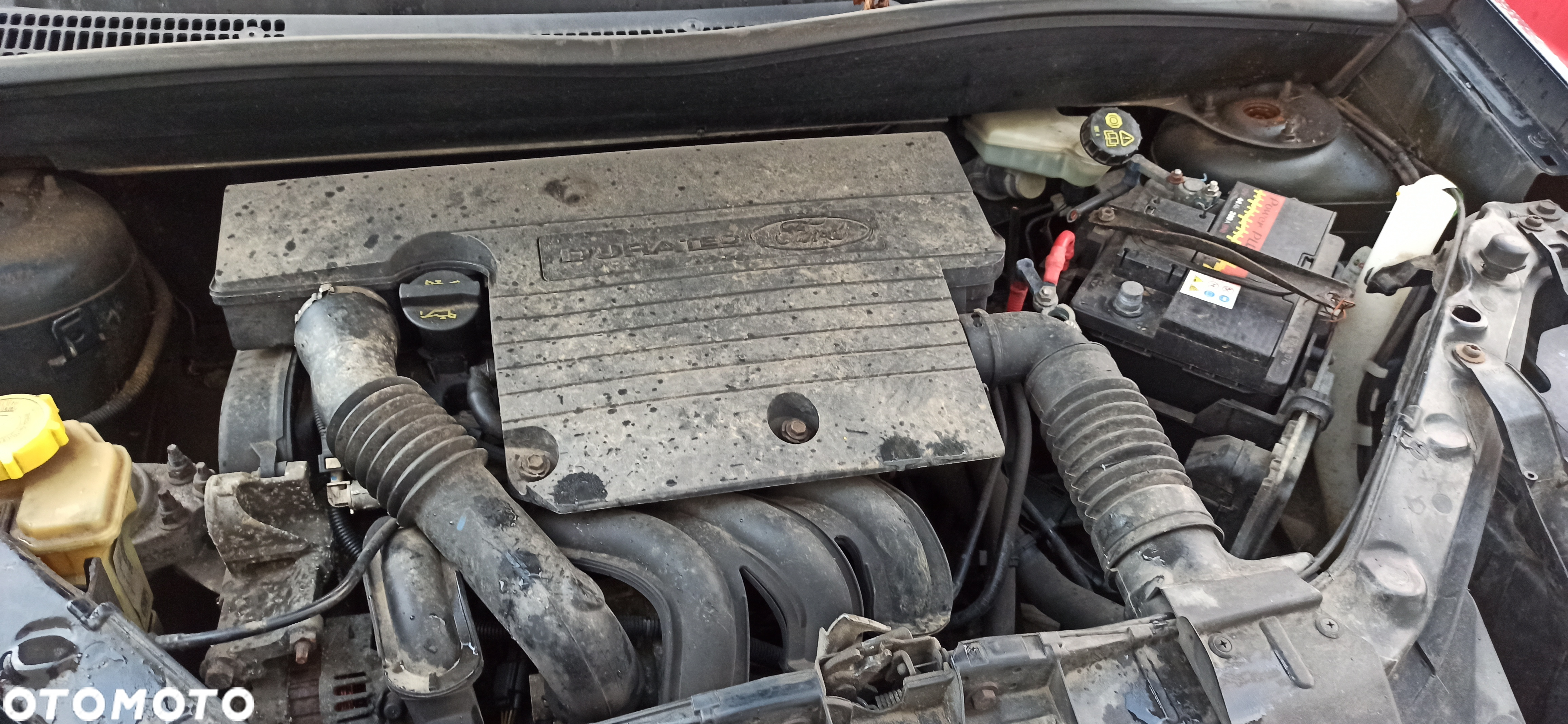 Ford Fusion 05- 1,25 lak. 84 - 4