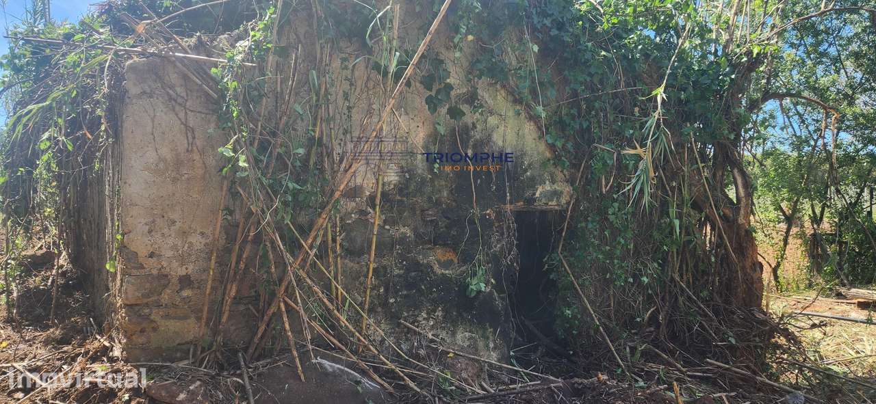 Terreno 3.463m2 Ruina uma antiga Azenha Alfeizerão - Grande imagem: 2/16