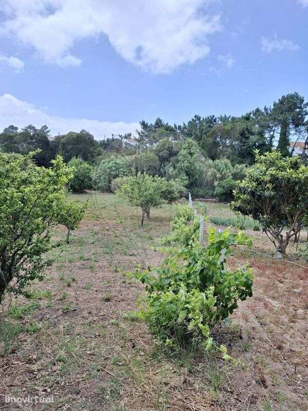 Terreno  para venda - Grande imagem: 5/18