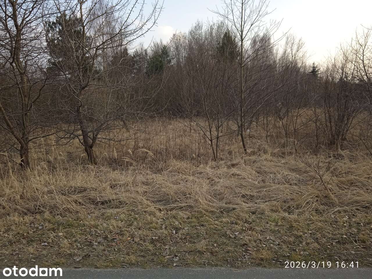 DZIAŁKA BUDOWLANA NAD RZEKĄ WARTĄ !!! NOWA OFERTA!!! - Pełny obrazek: 3/4