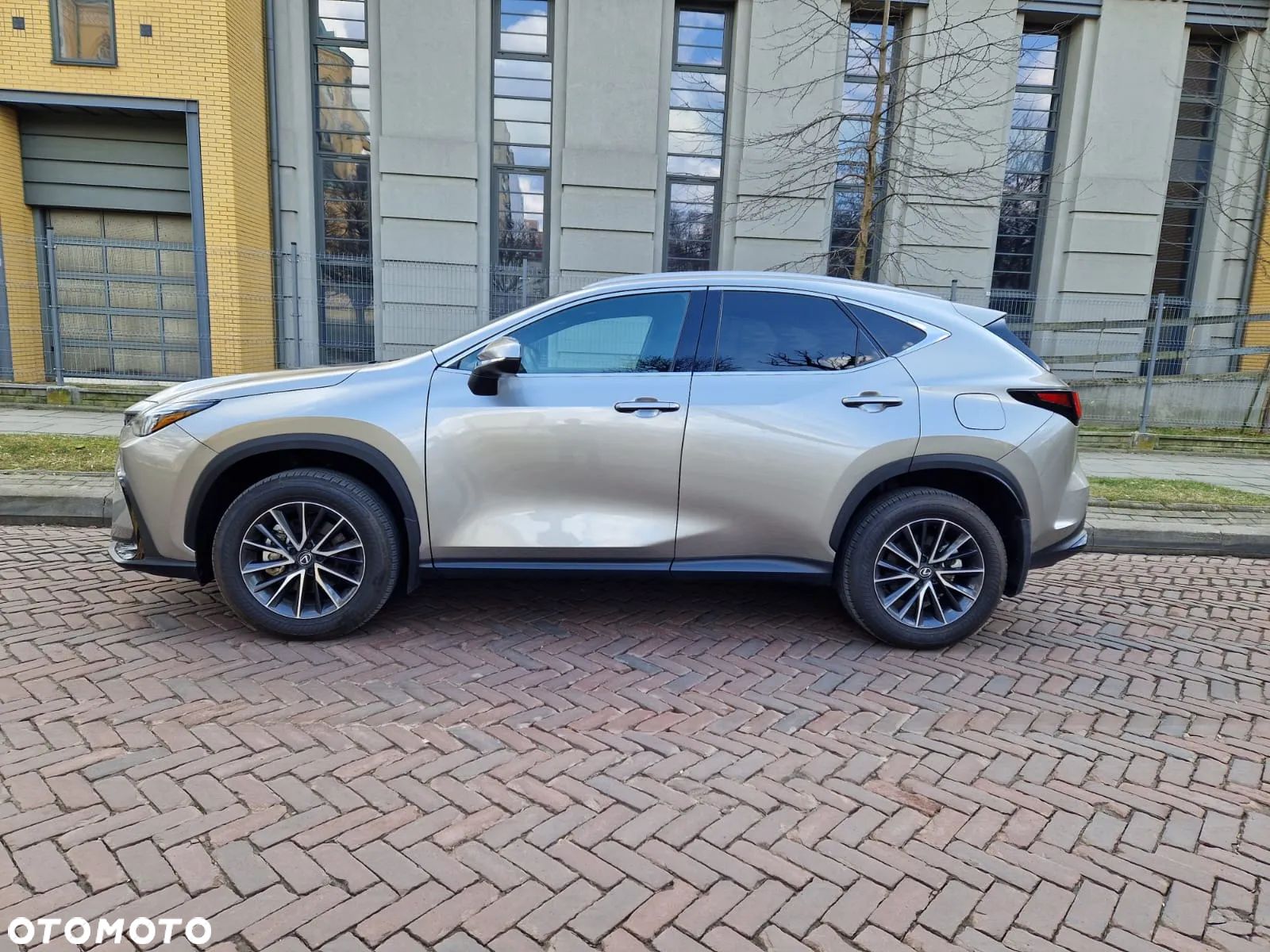Lexus NX - 1