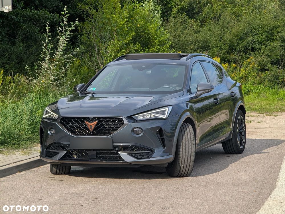 Cupra Formentor - 17
