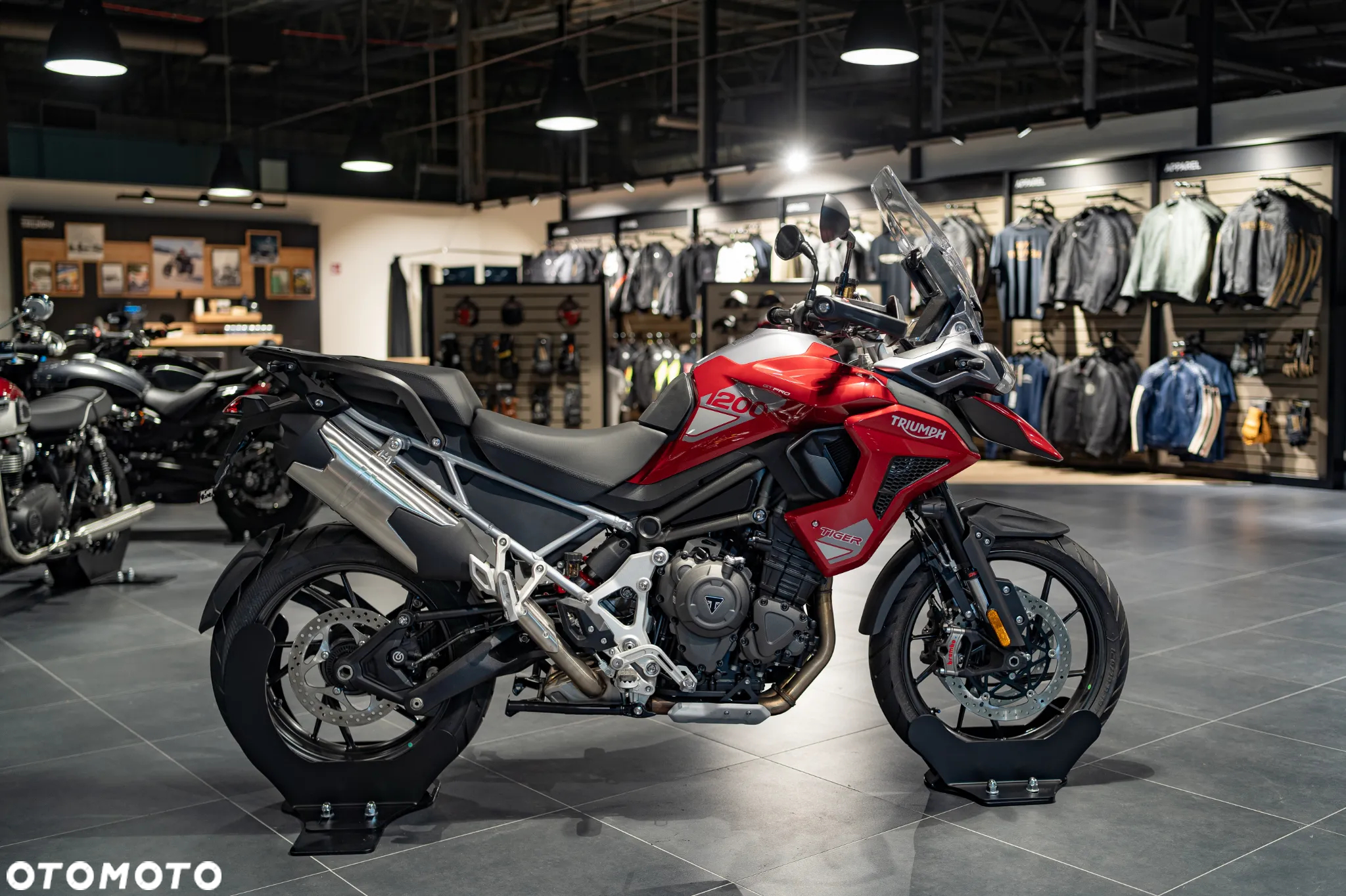 Triumph Tiger - 12