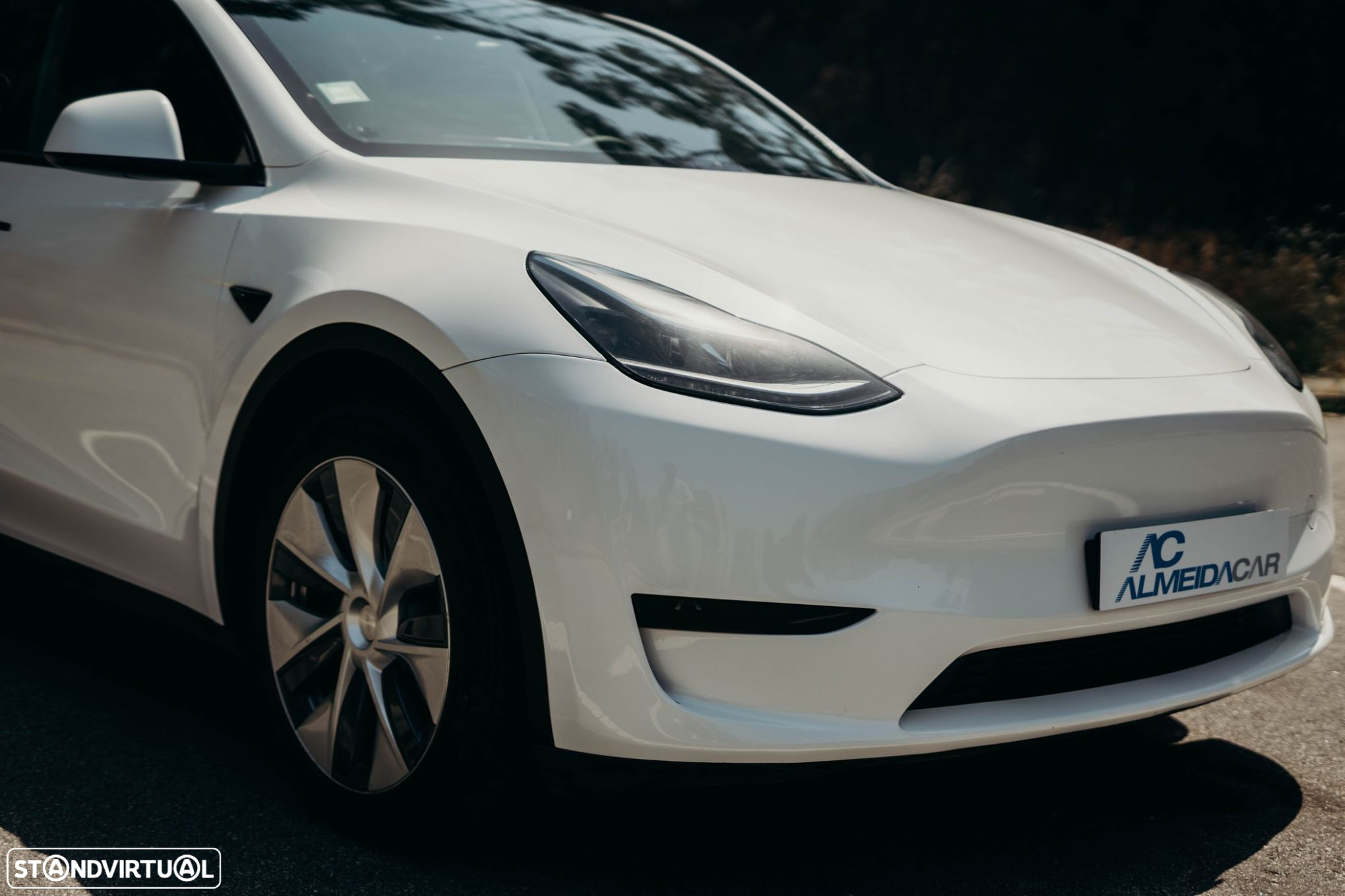 Tesla Model Y Tração Traseira - 19