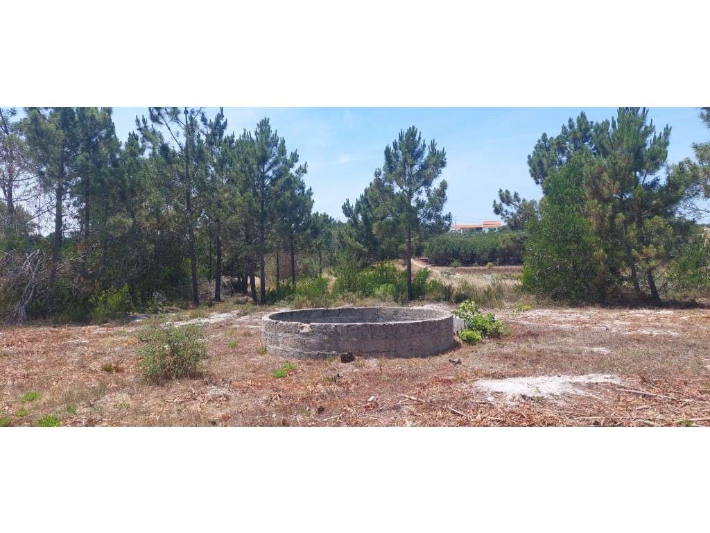 Terreno Rústico para Venda no Rogil, Aljezur - Grande imagem: 4/7