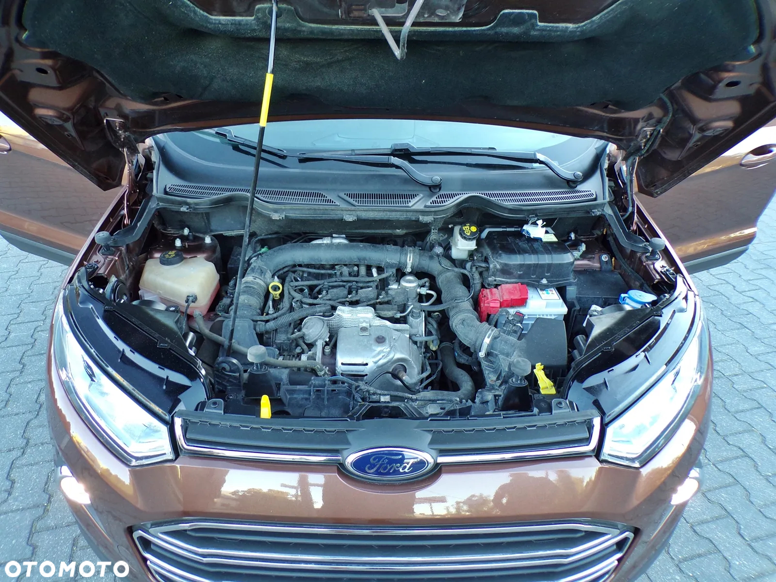 Ford EcoSport 1.0 EcoBoost GPF Navi Edition ASS - 30
