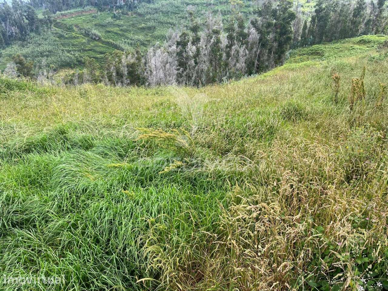 TERRENO COM 6.620 M2 NA PONTA DO PARGO - Grande imagem: 2/7