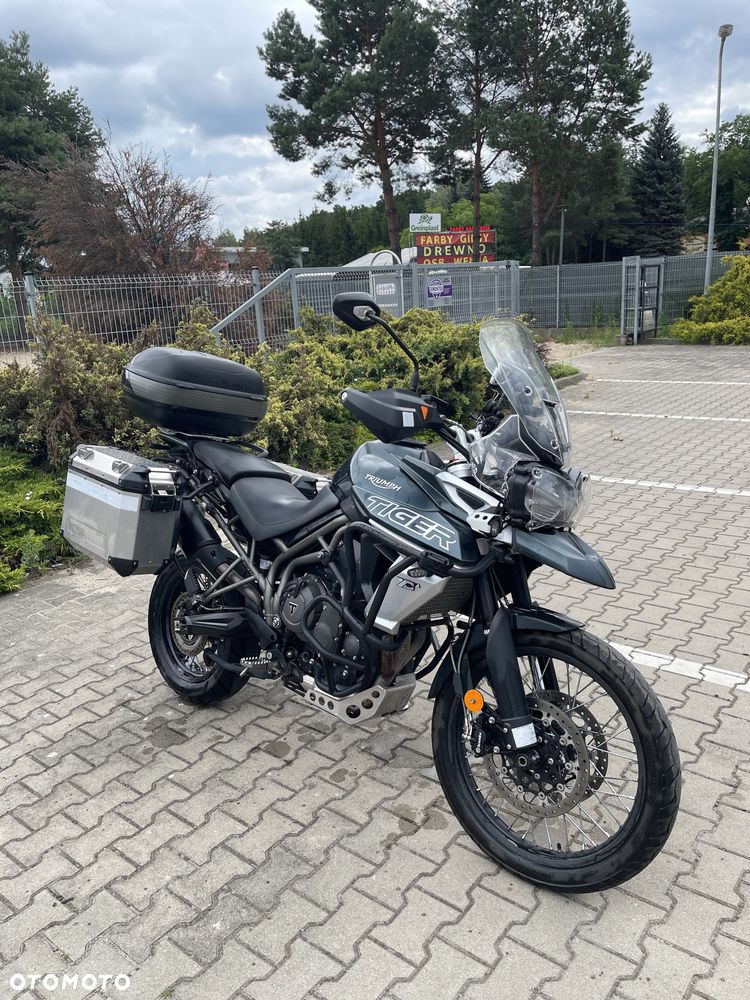 Triumph Tiger - 1