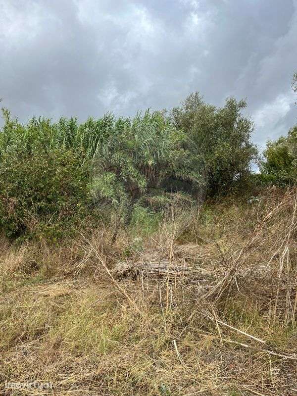 Prédio  para venda - Grande imagem: 4/9