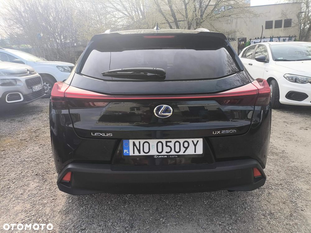 Lexus UX 250h Elegance 2WD - 6