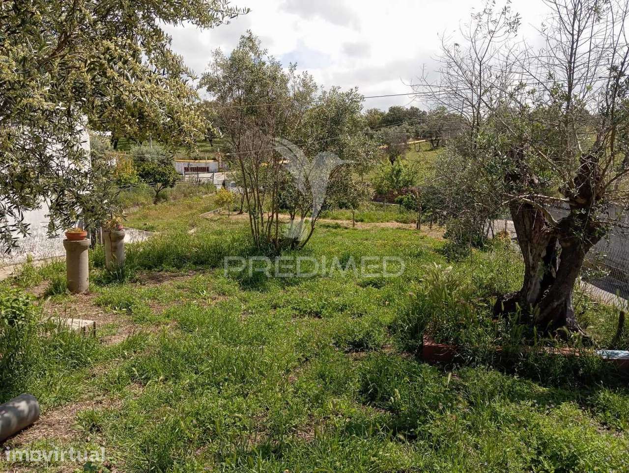 Terreno  - Urra/ Portalegre - Grande imagem: 3/5