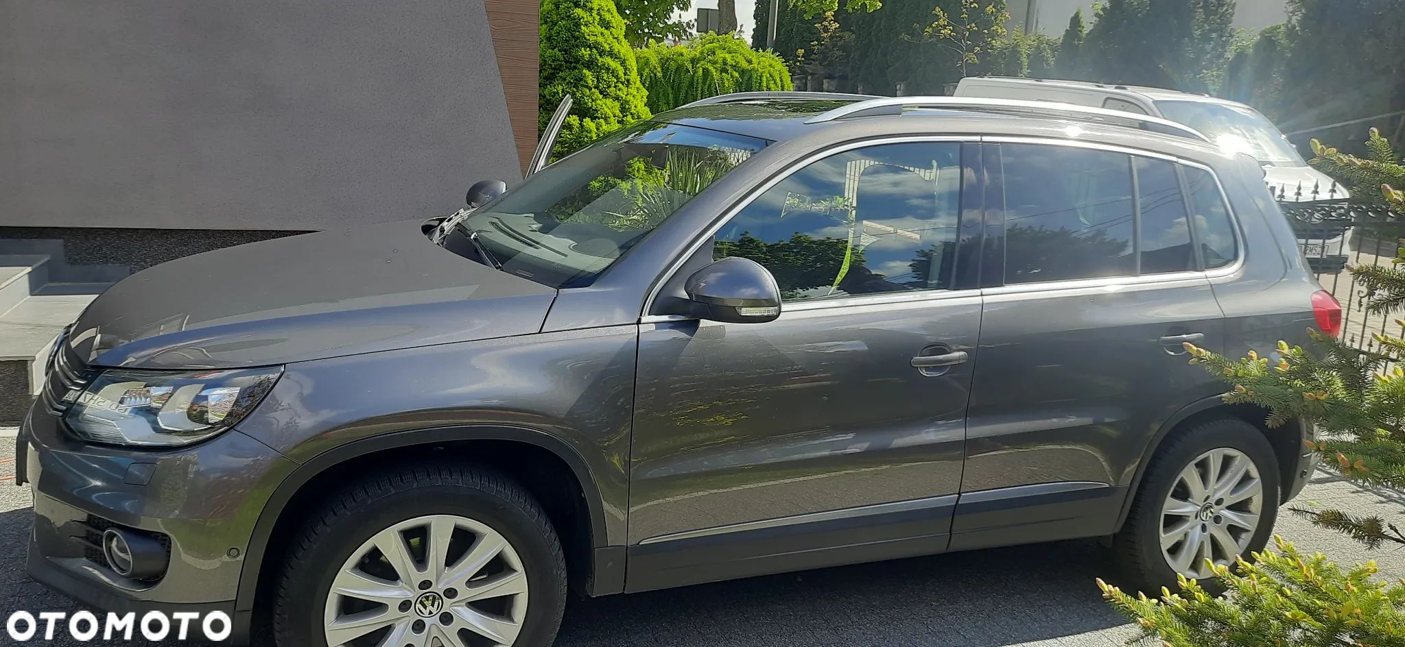 Volkswagen Tiguan - 1