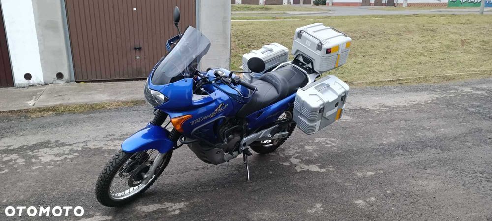 Honda Transalp - 1