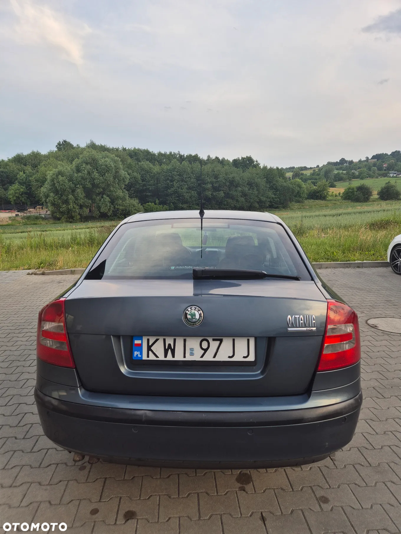 Skoda Octavia 1.9 TDI Elegance - 5